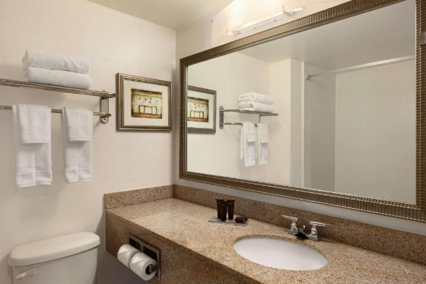 Wingate By Wyndham Montgomery image 14